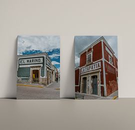 Colección "Pálidos e inconstantes atisbos de belleza"